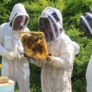 Atelier apiculture avec découverte de la ruche et sensibilisation au rôle des abeilles animé par BeeHappyDDel