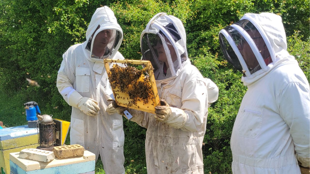 Atelier apiculture avec découverte de la ruche et sensibilisation au rôle des abeilles animé par BeeHappyDDel